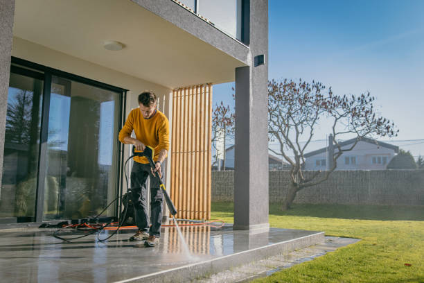 Best Solar Panel Cleaning  in Buchanan, MI